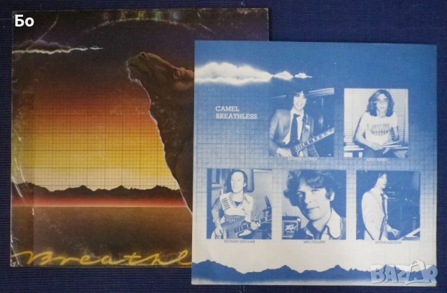 грамофонни плочи Camel, снимка 12 - Грамофонни плочи - 54018929