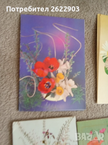 Руски поздравителни картички, снимка 2 - Колекции - 52413797