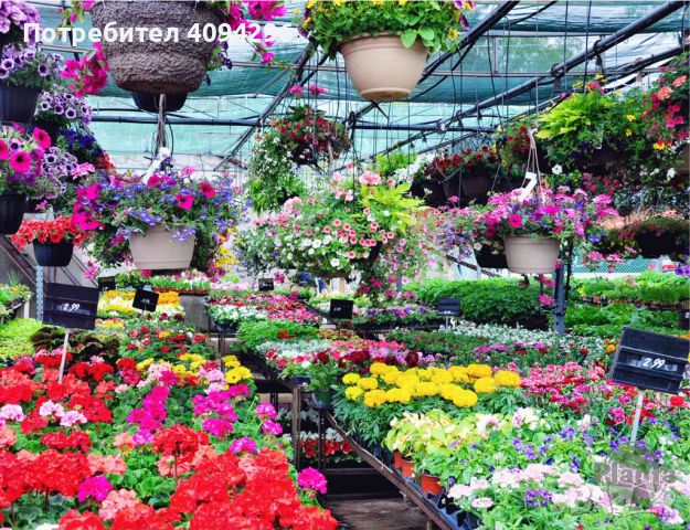 Работници в склад за цветя , снимка 1 - Други - 45685892