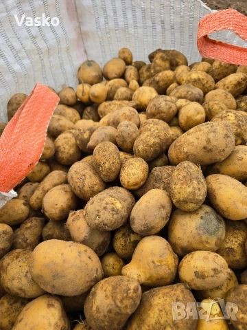 Продавам Картофи 