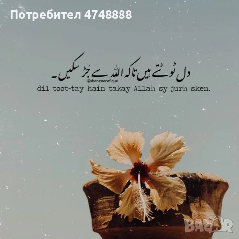 100 процента събиране на двойки. Извършвам сериозни намеси