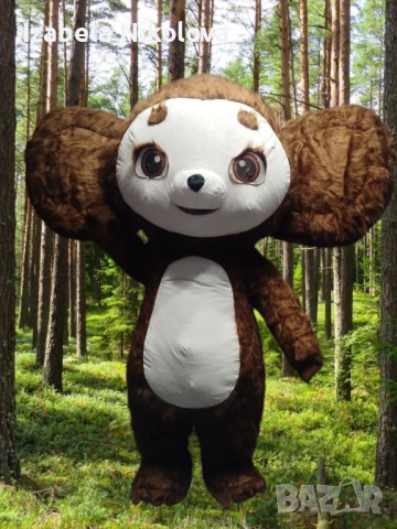 Изненада с гигантска бяла мечка, панда, Стич, Чебурашка , снимка 7 - Други услуги - 48302716