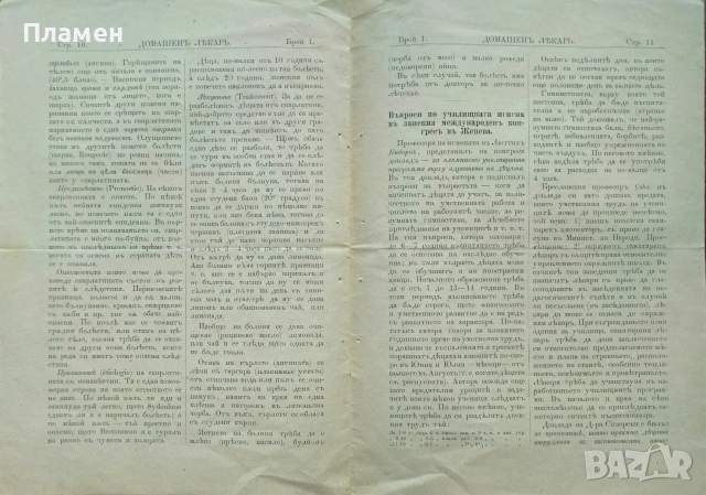 Домашенъ лекарь. Год. 1: Бр. 1 /1884, снимка 4 - Антикварни и старинни предмети - 52561430
