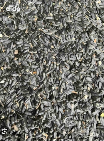 Продавам слънчоглед реколта 2025г 