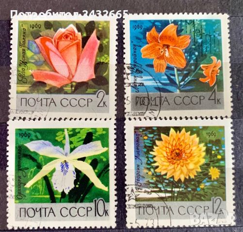 1019. СССР 1969 =  “ Флора. Московска ботаническа градина ” , снимка 1 - Филателия - 36712127
