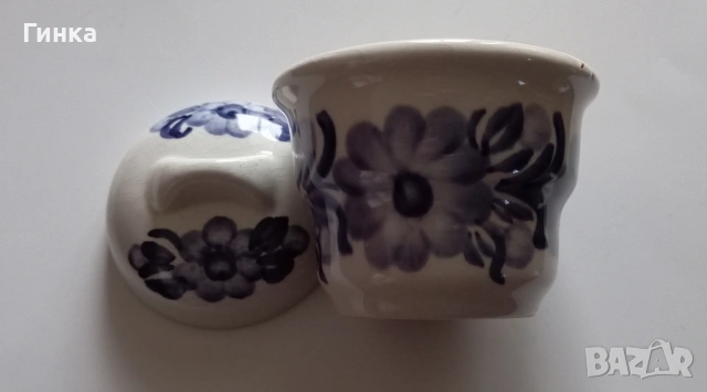 Малка захарничка