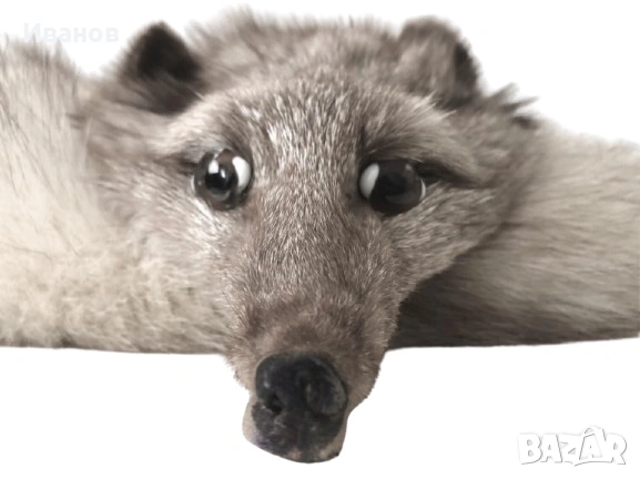 Топ цена - 29€. Шал/Яка от Сребърна лисица - Естествена кожа