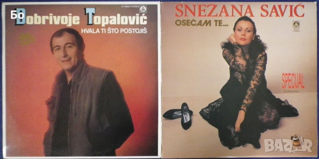грамофонни плочи Miroslav Ilic, Vesna Zmijanac, Tozovac, Snezana Babic..., снимка 4 - Грамофонни плочи - 36888551