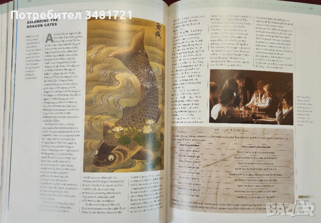Фън Шуй - голяма илюстрирана енциклопедия /  The Illustrated Encyclopedia of Feng Shui, снимка 11 - Енциклопедии, справочници - 53883047