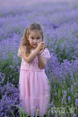 лавандилова сесия на 5мин.Пловдив , снимка 11 - Фотографи - 50738156