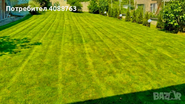 Косене на трева! Безплатен оглед!, снимка 8 - Други услуги - 50716498