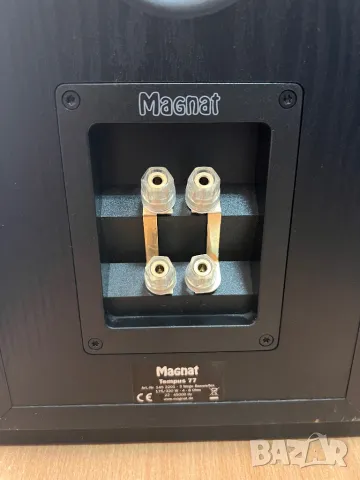 Magnat Tempus 77, снимка 6 - Тонколони - 50149280