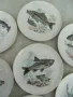 № 7964 стари японски порцеланови чинии - 7 броя   - SAITO JAPAN  - илюстрации - риби  , снимка 5
