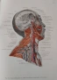 "Анатомичен атлас на човешкото тяло" в три тома, снимка 10