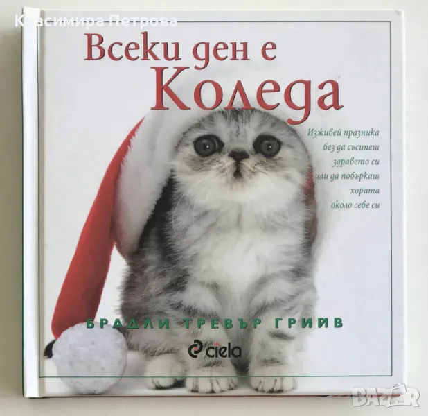 Всеки ден е Коледа - Брадли Тревър Грийв, снимка 1