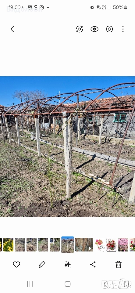 оранжерия два броя 3м на 20м, снимка 1