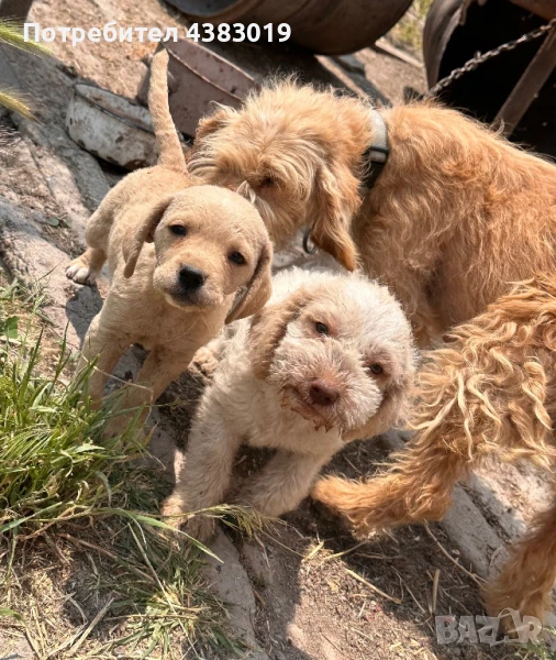 Лагото Романьола, снимка 1