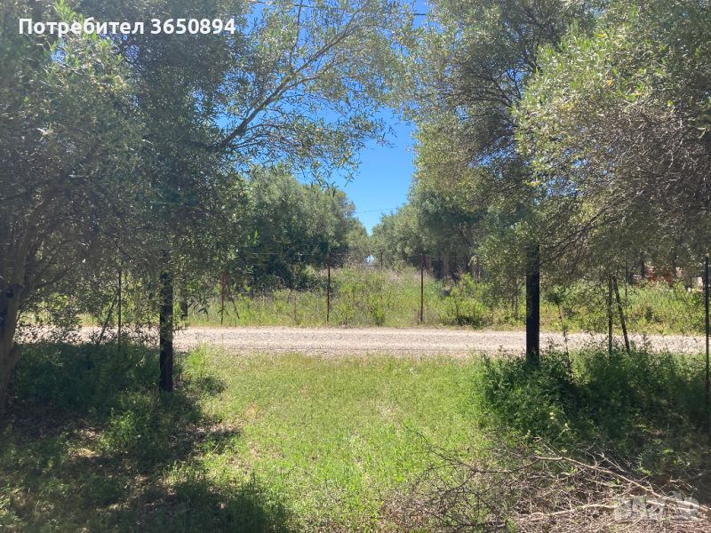 Парцел в  Халкидики, снимка 1