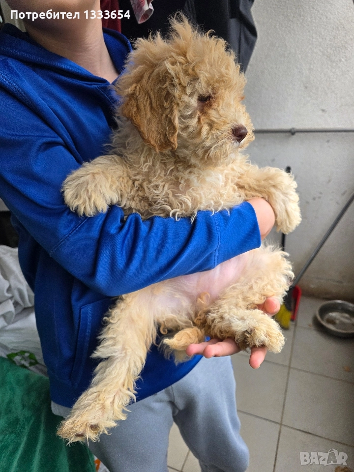 Лагото Романьоло, снимка 1