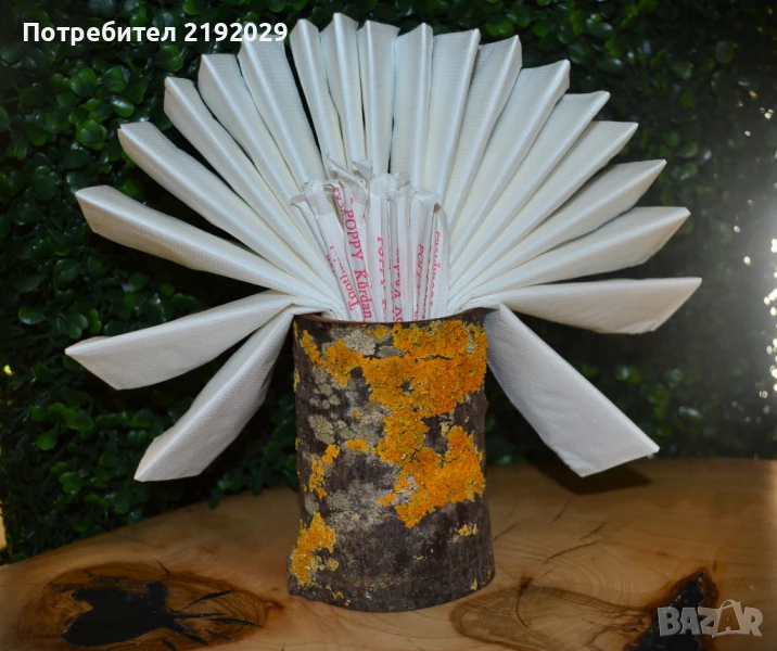 САЛФЕТНИЦИ от натурално дърво, снимка 1