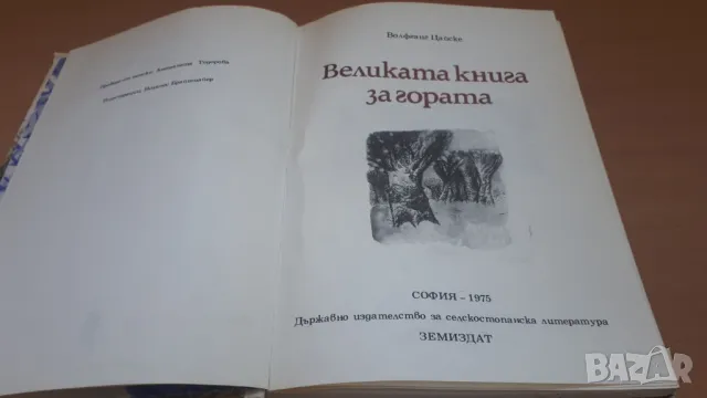 Великата книга за гората - Волфганг Цайске, снимка 3 - Детски книжки - 47053582