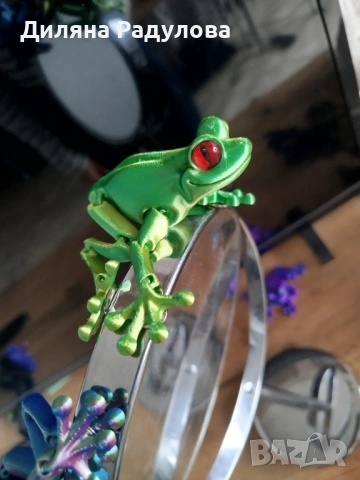 Магнитни жабки, снимка 9 - Декорация за дома - 53573993