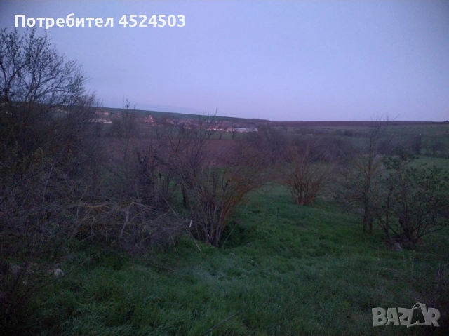 Дворно място село Цани Гинчево, снимка 8 - Парцели - 52354249