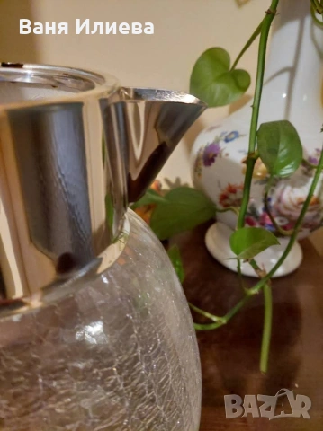 Кана, снимка 7 - Кани - 53971429