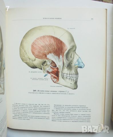 Книга Атлас анатомии человека. Том 1, 3 Р. Д. Синельников 1978 г. Анатомия на човека, снимка 3 - Специализирана литература - 46018644