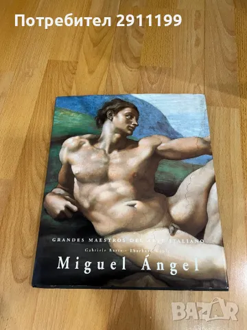 Художествен албум/алманах на Микеланджело