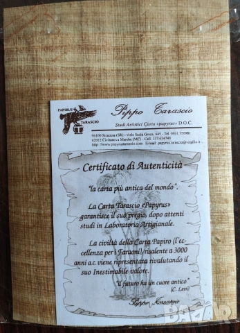 Оригинален папирус от Сиракуза (Сицилия) - Архимед, 18 х 13 см, снимка 3 - Картини - 53129520