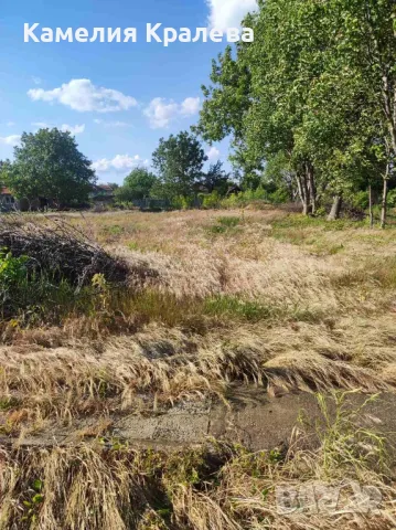 с.Селановци Продавам урегулиран парцел, снимка 6 - Парцели - 47039471