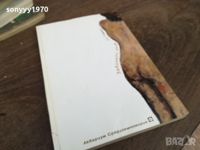 ЗАВИНАГИ ГОЛА 2810250747LCHERY