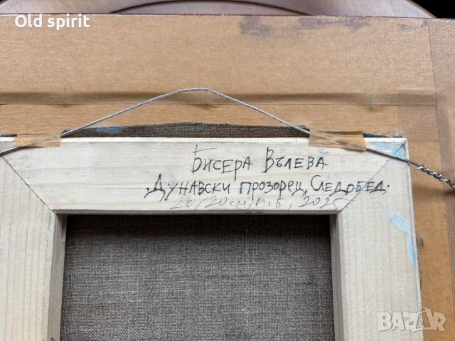 Дунавски прозорец следобед, проф. Бисера Вълева, снимка 3 - Картини - 53225302