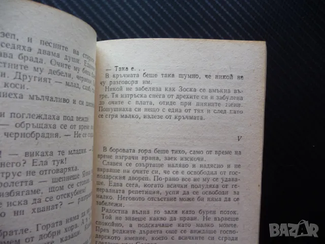 Славея Змитрок Бядуля Библиотека Панорама Серия Проза замо за левче, снимка 2 - Художествена литература - 49783341