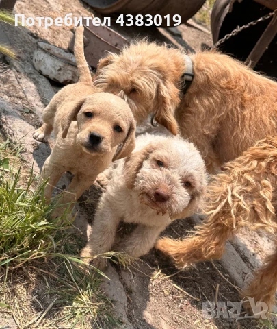 Лагото Романьола, снимка 1