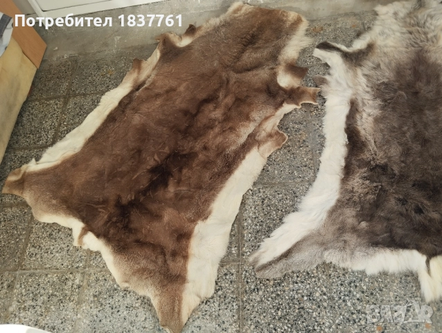 Естествени кожи големи , снимка 7 - Декорация за дома - 52177515