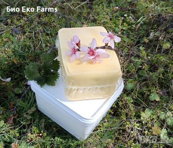 Сирене и кашкавал домашни зрели пасищни , снимка 7 - Домашни продукти - 53763132