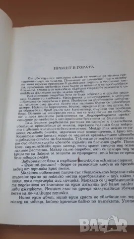 Великата книга за гората - Волфганг Цайске, снимка 4 - Детски книжки - 47053582