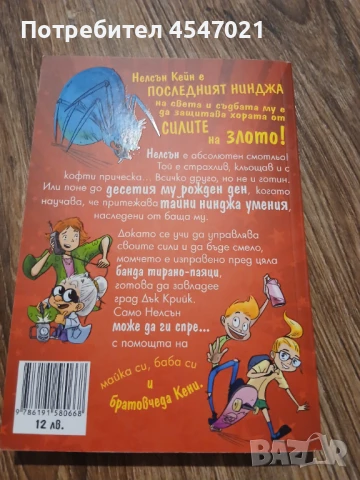 Книга Момчето нинджа част 1, снимка 2 - Детски книжки - 51171321