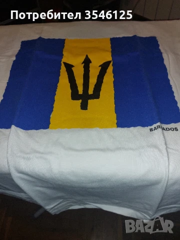 Унисекс тениски-сувенир от Барбадос , снимка 1