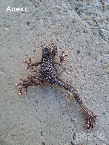 Разкошна брошка с камъни–жабка