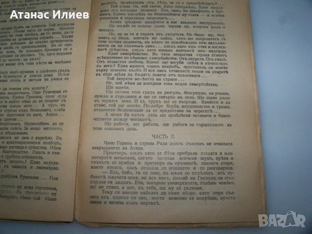 "Благословената земя" роман от Тихомир Павлов, 1933г., снимка 4 - Художествена литература - 46717891