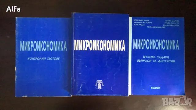 Микроикономика - учебник и помагало, снимка 1 - Учебници, учебни тетрадки - 47465028