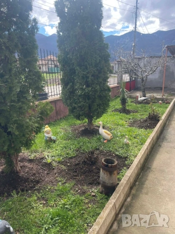 Къща на 2-етажа в кв. Кулата , снимка 8 - Къщи - 54006496