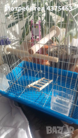 Клетка за папагали, снимка 2 - За птици - 53932837