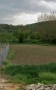 Парцел в регулация в с. Ушинци, снимка 1