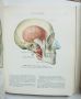 Книга Атлас анатомии человека. Том 1, 3 Р. Д. Синельников 1978 г. Анатомия на човека, снимка 3