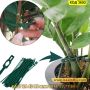 50 бр. Пластмасови връзки за растения за многократна употреба - КОД 3692, снимка 10
