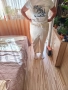 Дамски дълъг панталон , снимка 2